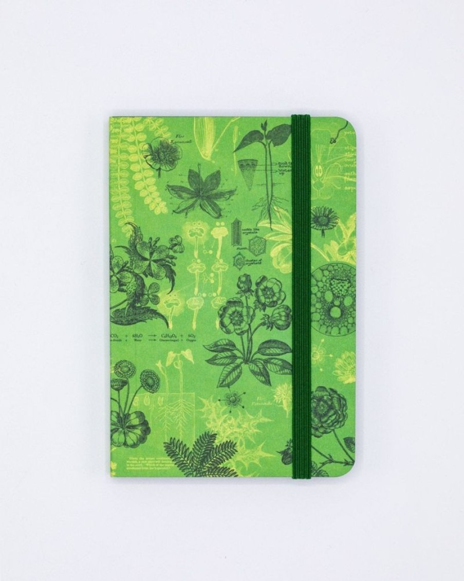 Notebooks Cognitive Surplus | Botanical Reverie Observation Softcover