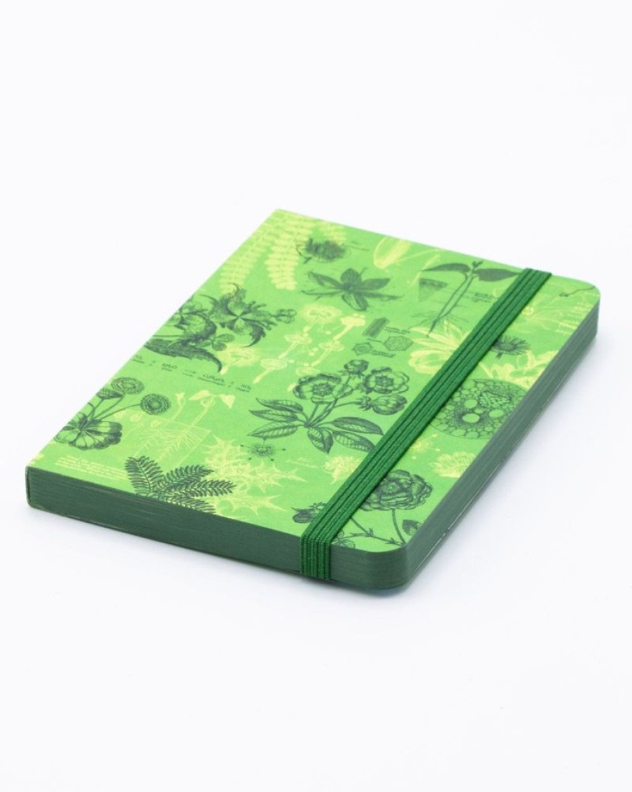 Notebooks Cognitive Surplus | Botanical Reverie Observation Softcover