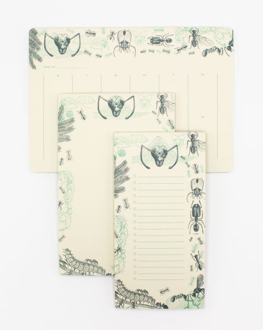 Stationery Cognitive Surplus | Ant Notepads - Entomology Market Pad | Cognitive Surplus