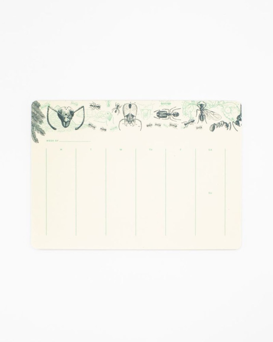 Stationery Cognitive Surplus | Ant Notepads - Entomology Market Pad | Cognitive Surplus