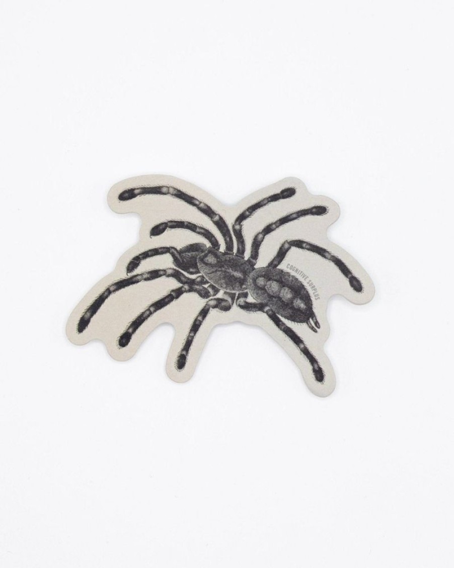 Stationery Cognitive Surplus | Tarantula Spider Sticker