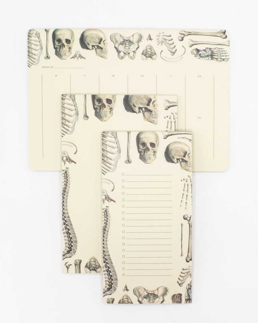 Stationery Cognitive Surplus | Skeleton Notepads - Vintage Medicine Pad | Cognitive Surplus