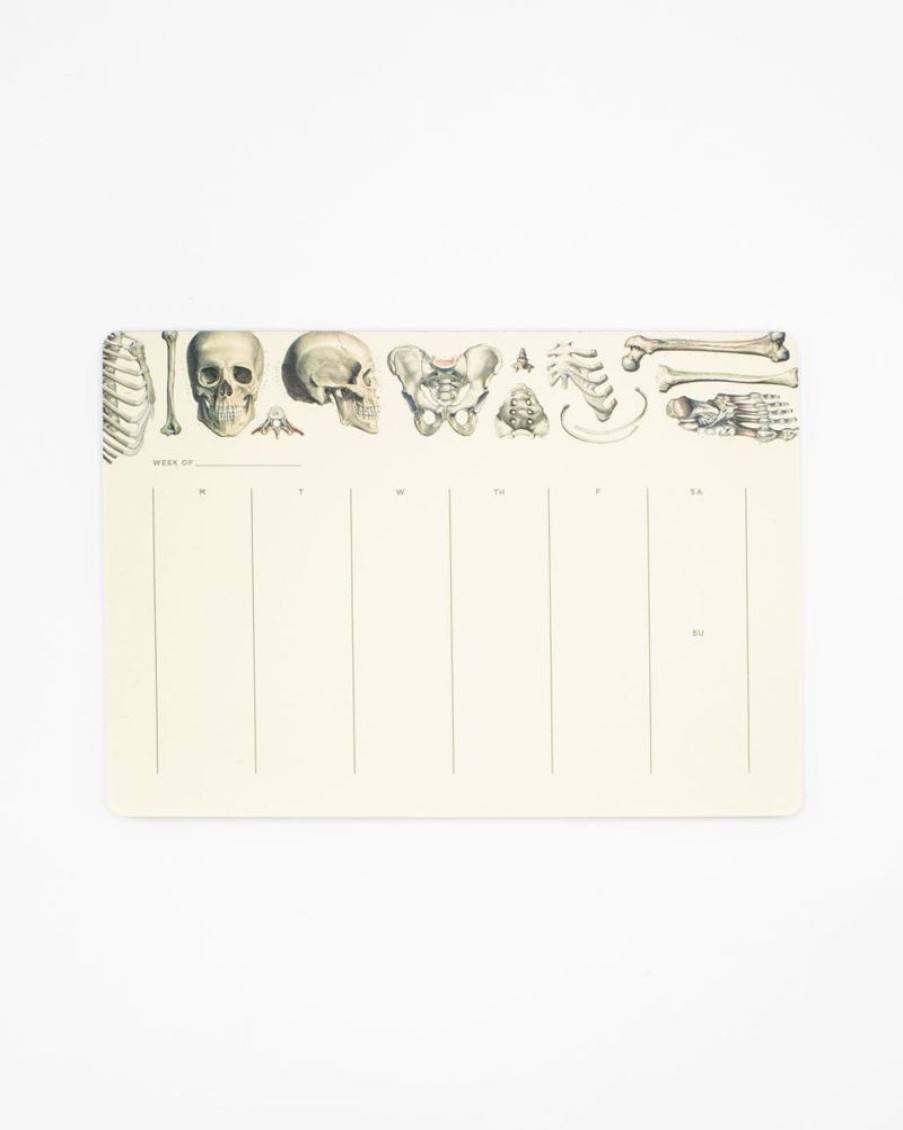 Stationery Cognitive Surplus | Skeleton Notepads - Vintage Medicine Pad | Cognitive Surplus