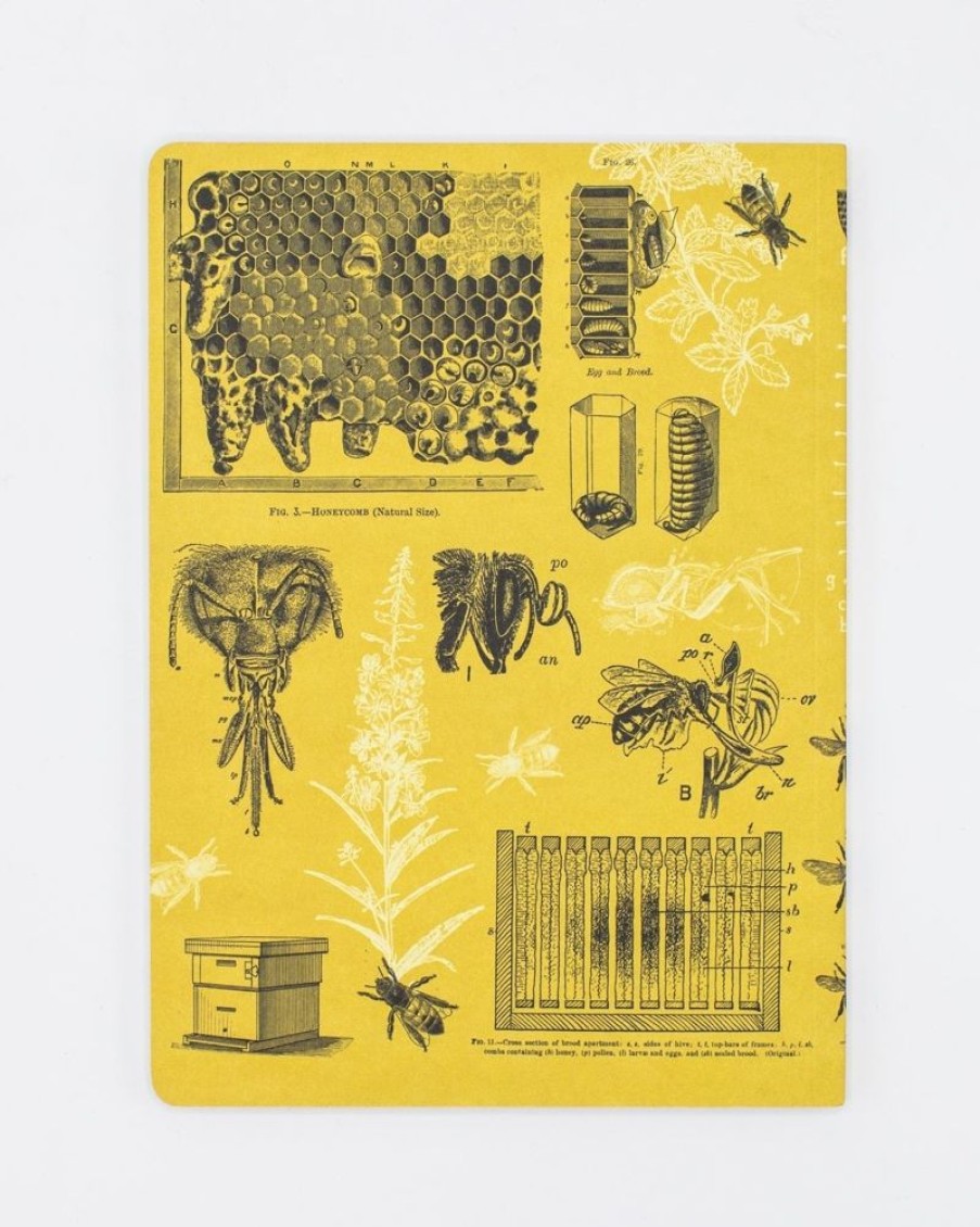 Notebooks Cognitive Surplus | Bee Journal | Insect Print, Honey Bee Softcover Notebook