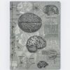 Notebooks Cognitive Surplus | Brain Anatomy Hardcover Notebook | Dot Grid Journal