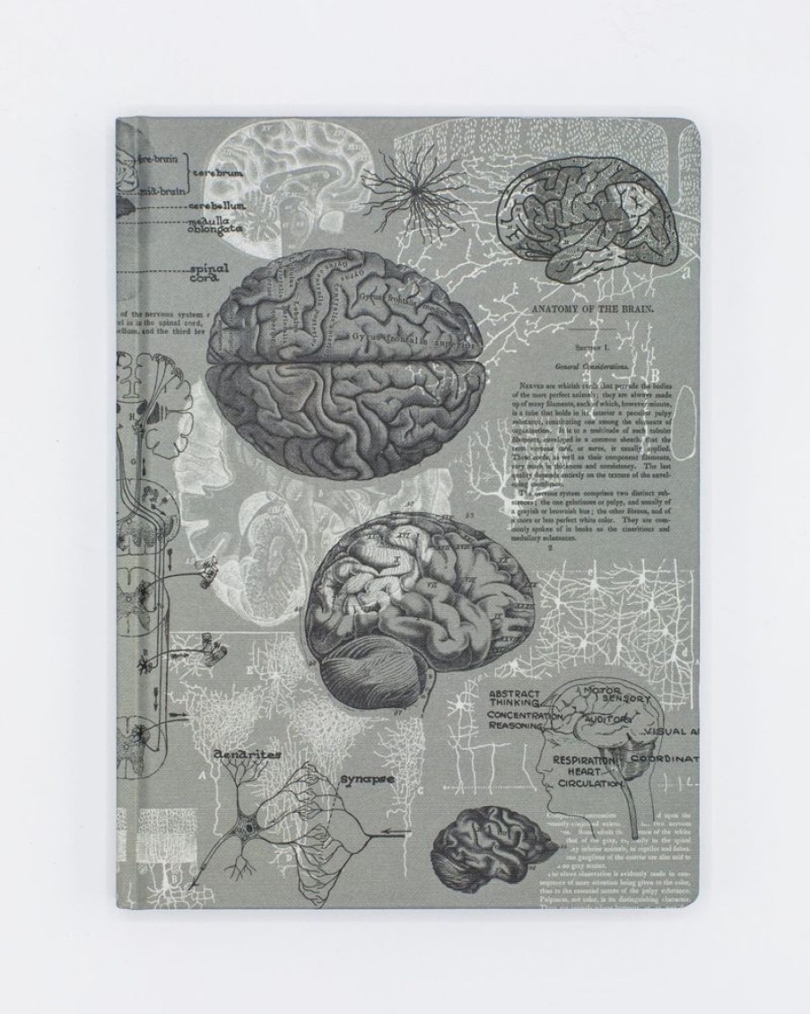 Notebooks Cognitive Surplus | Brain Anatomy Hardcover Notebook | Dot Grid Journal