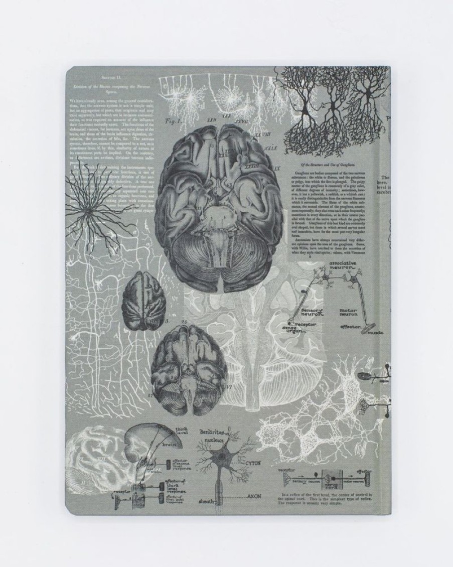 Notebooks Cognitive Surplus | Brain Anatomy Hardcover Notebook | Dot Grid Journal