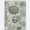 Notebooks Cognitive Surplus | Brain Anatomy Softcover Notebook | Dot Grid Journal