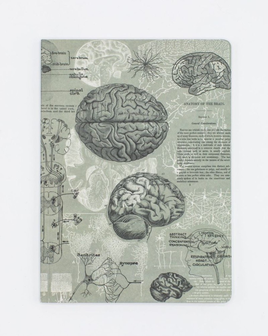 Notebooks Cognitive Surplus | Brain Anatomy Softcover Notebook | Dot Grid Journal