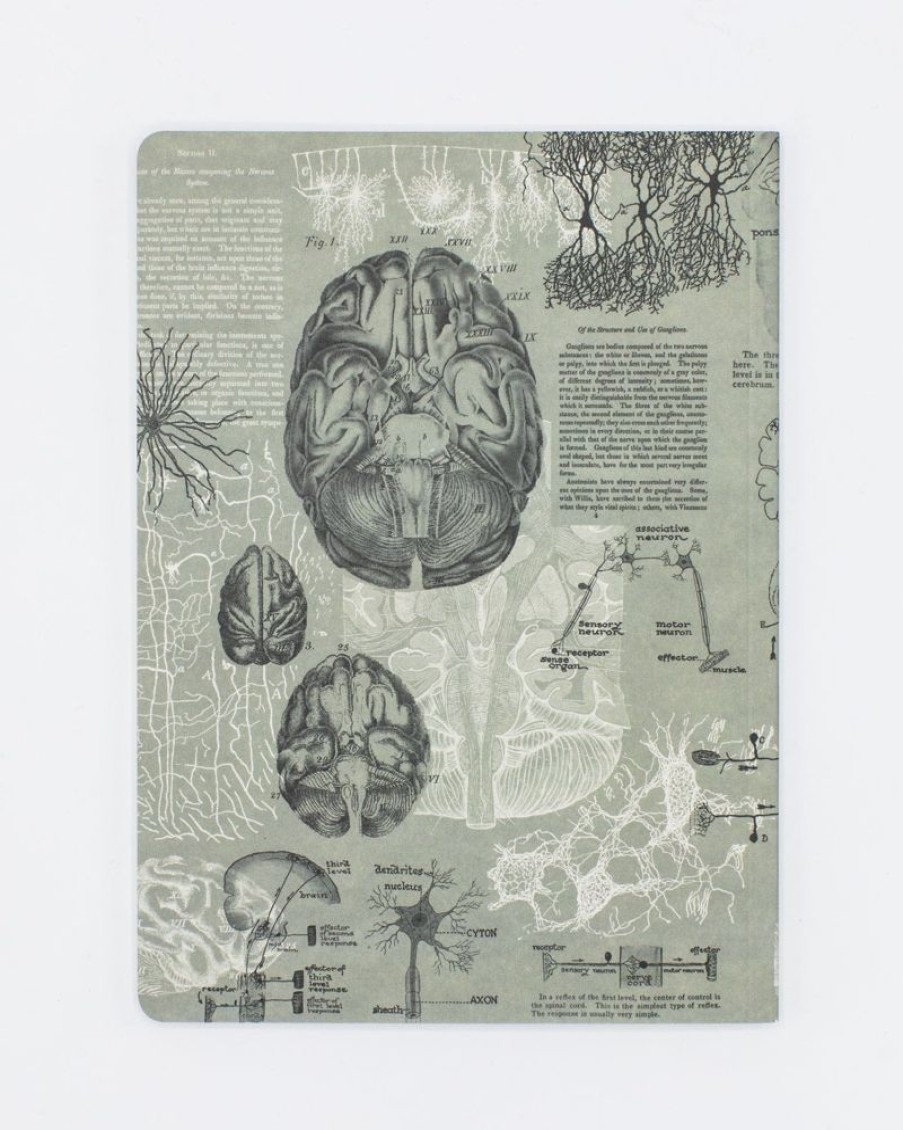 Notebooks Cognitive Surplus | Brain Anatomy Softcover Notebook | Dot Grid Journal