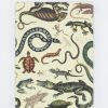 Notebooks Cognitive Surplus | Serpents: Reptiles & Amphibians Hardcover Notebook - Lined/Grid