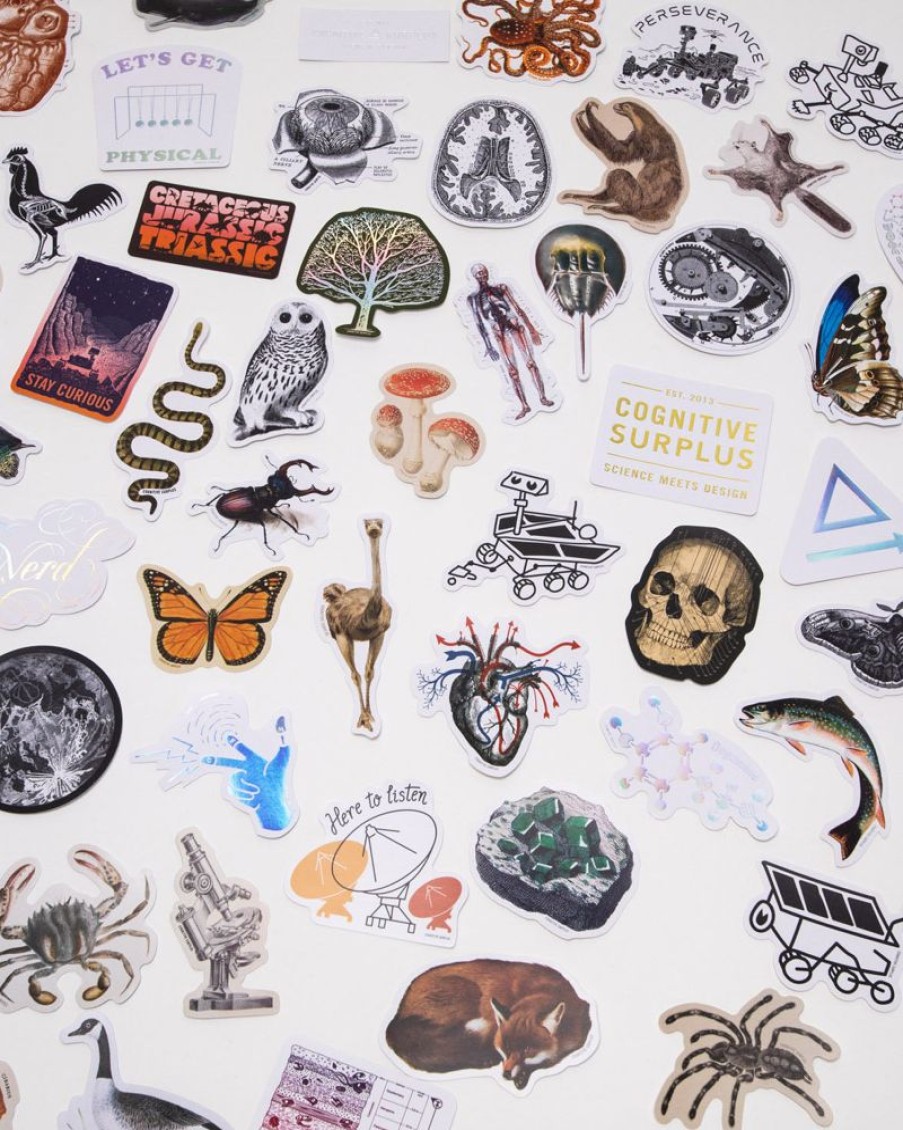 Stationery Cognitive Surplus | Sticker Mystery Pack