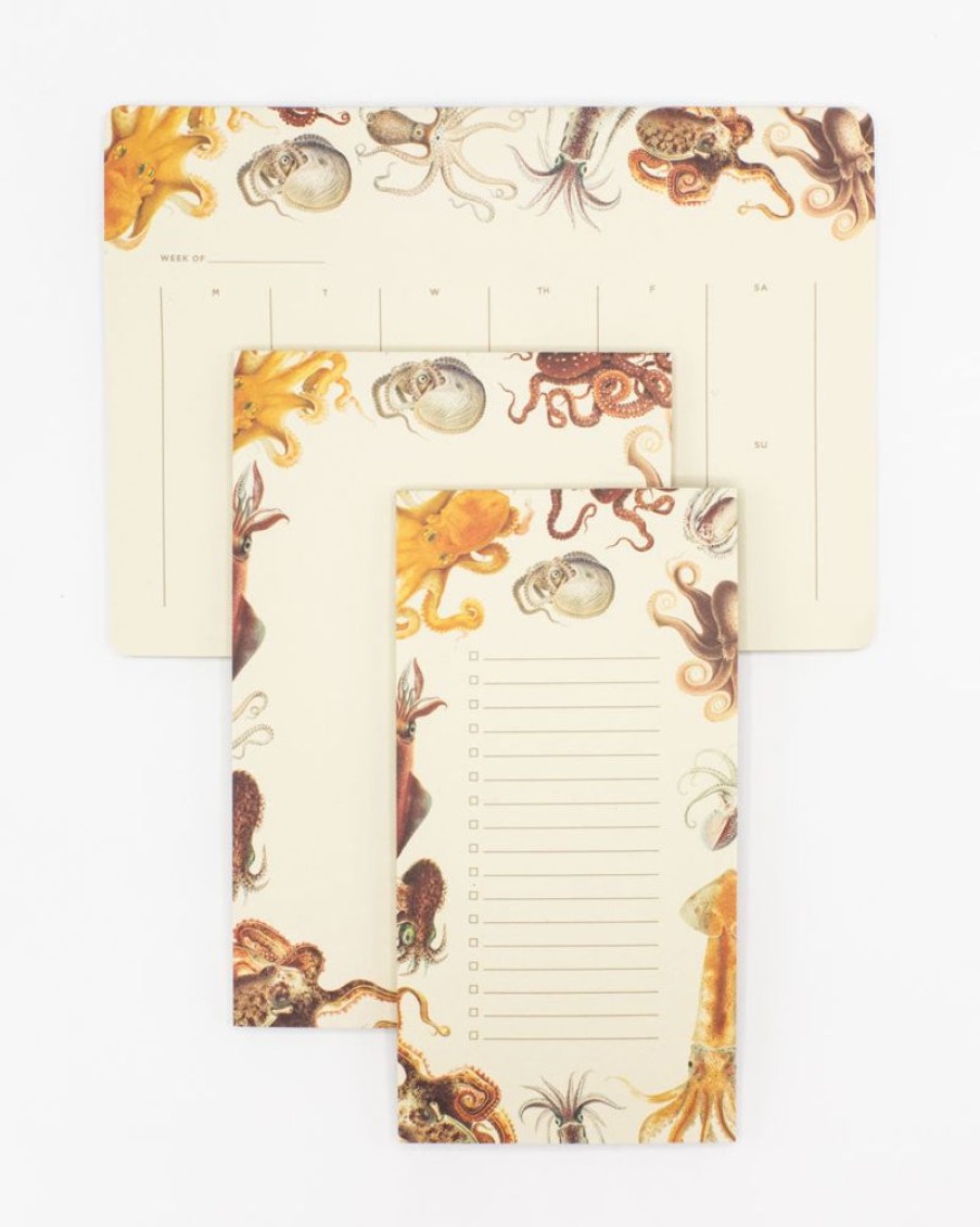 Stationery Cognitive Surplus | Octopus Notepads - Cephalopod Market Pad | Cognitive Surplus