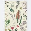 Notebooks Cognitive Surplus | Medicinal Botany Softcover Notebook - Dot Grid