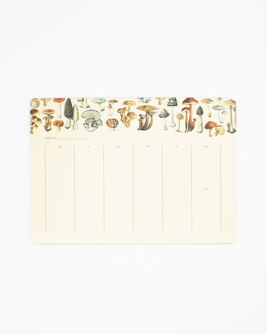 Stationery Cognitive Surplus | Mushrooms Notepads - Fungi Market Pad | Cognitive Surplus